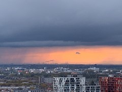 IMG_2544.jpeg