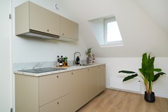 DSC09044.jpg