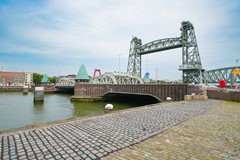 DSC09156.jpg