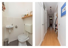 Toilet.jpg