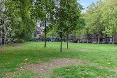 489A4782-1.jpg