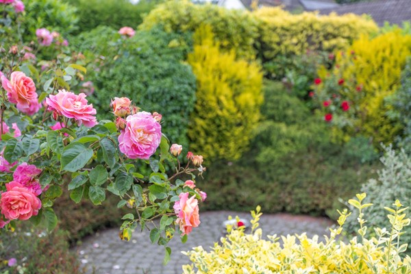 Medium property photo - Opdiep 9, 9679 AW Scheemda
