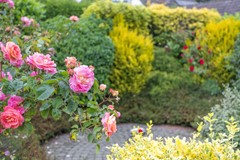 Opdiep99679AWScheemda-54.jpg