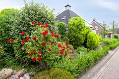Opdiep99679AWScheemda-64.jpg