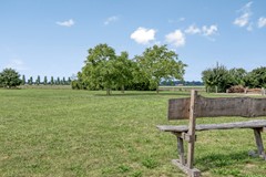 Moerseweg 4, 4927 RK Hooge Zwaluwe - Moerseweg44927RKHoogeZwaluweNL-67.jpg