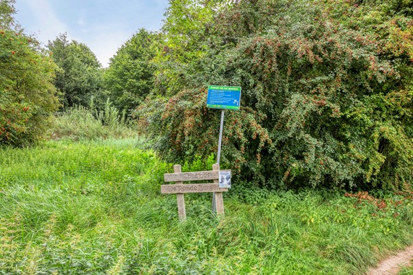 Medium property photo - Haasdijk 57, 4921 CK Made