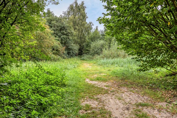 Medium property photo - Haasdijk 57, 4921 CK Made