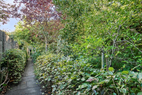 Medium property photo - Bredaseweg 50, 4901 KM Oosterhout