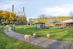 Noordenbos 27, 4931 VA Geertruidenberg - Noordenbos274931vaGeertruidenbergNL-37.jpg