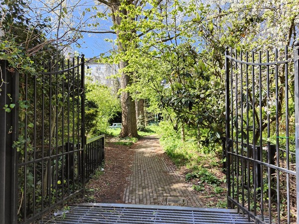 Medium property photo - Schoonderloostraat 155B, 3024 TT Rotterdam