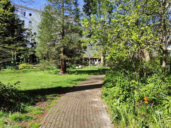 Medium property photo - Schoonderloostraat 155B, 3024 TT Rotterdam