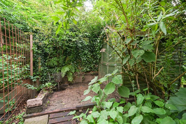 Medium property photo - Van Cittersstraat 45B, 3022 LH Rotterdam