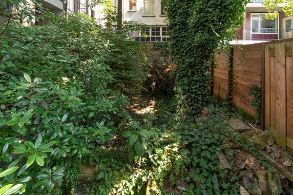 Medium property photo - Watergeusstraat 4a, 3025 HS Rotterdam