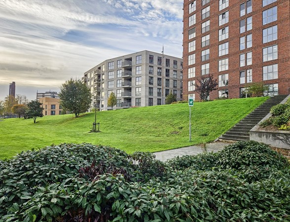 Medium property photo - 2e Schansstraat 66B, 3025 XR Rotterdam