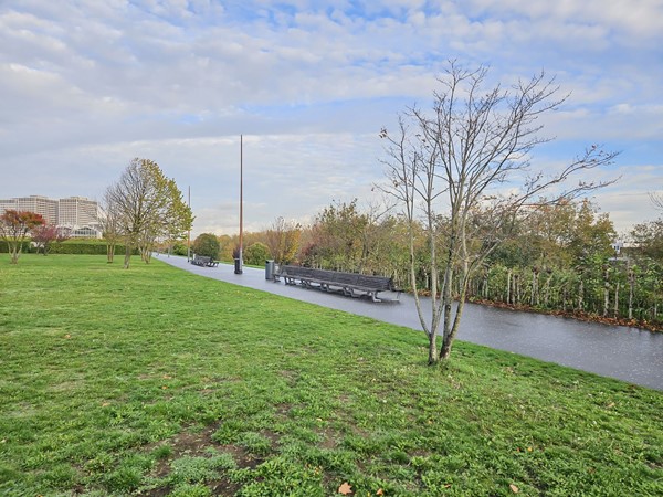 Medium property photo - 2e Schansstraat 66B, 3025 XR Rotterdam