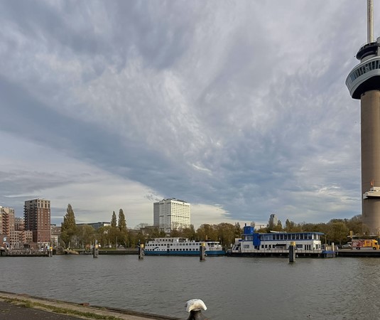 Medium property photo - Müllerkade 261, 3024 EP Rotterdam