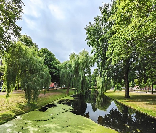 Medium property photo - Volmarijnstraat 124A02, 3021 XW Rotterdam