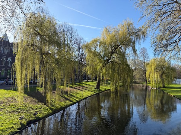 Medium property photo - Mathenesserlaan 365A, 3023 GC Rotterdam