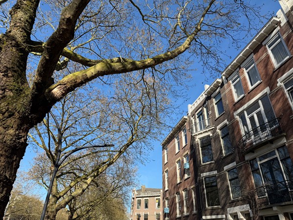 Medium property photo - Mathenesserlaan 365A, 3023 GC Rotterdam