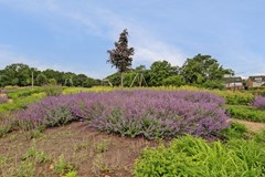 51_CUIJK_5431_KP_Valkenhorst_72.jpg