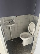 toilet.jpg