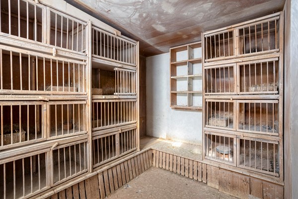 Medium property photo - H.J. Kniggekade 109, 9503 RL Stadskanaal