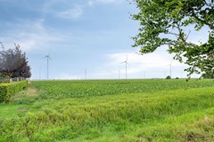 Zuiderdiep5799521ARNieuwBuinenNL-62.jpg