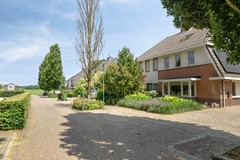 deHucht53959blOverbergNL-03.jpg