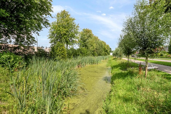 Medium property photo - Marktstraat 60, 3925 JS Scherpenzeel