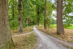 Fluitekruidlaan313925scScherpenzeelNL-46.jpg