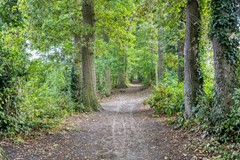 Heijhorst413925AAScherpenzeelNL-39.jpg