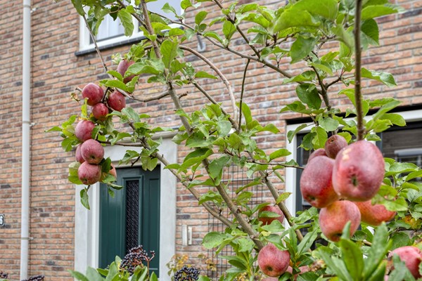 Medium property photo - De Gelderse Roos 44, 3925 SL Scherpenzeel