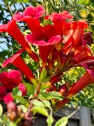 WhatsApp Image 2026-01-26 at 18.10.56.jpeg