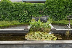 Lindenlaan 53 (21).jpg