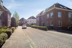 GelderseRoos1013925SKScherpenzeelNL-03.jpg