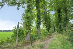 BurgRöelllaan73925bbScherpenzeel-62.jpg