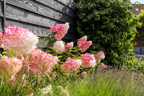 Medium property photo - Ruitenbeekskamp 13, 3925 TJ Scherpenzeel