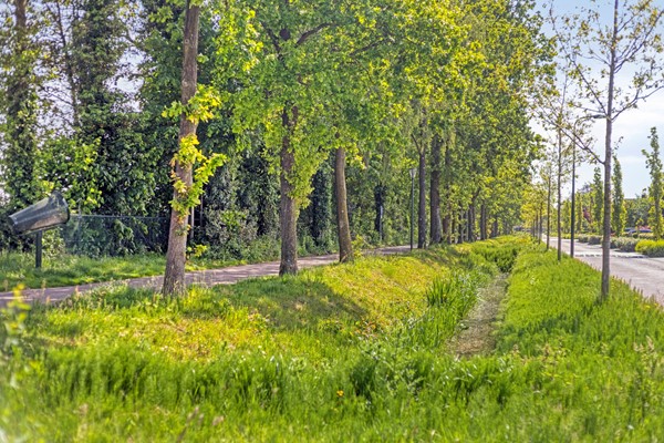 Medium property photo - Willaerlaan 68, 3925 HP Scherpenzeel