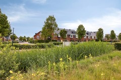 Renes263925JXScherpenzeelNL-31.jpg