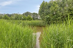 Eshoflaan43931scWoudenbergNL-43.jpg