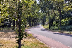 Oosteinde413925LAScherpenzeel-47.jpg