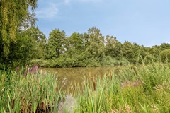 Reebaan63925VPScherpenzeel-38.jpg