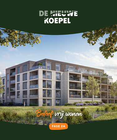 Brochure preview - 260211_DNK_brochure_C8.pdf