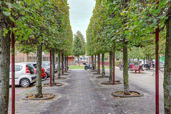 Medium property photo - van Faukenbergeplein 15, 2274 SE Voorburg