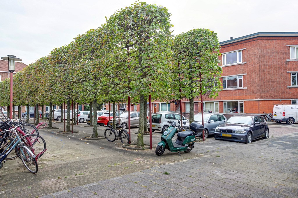 02_VOORBURG_2274_SE_Van_Faukenbergeplein_15.JPG