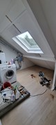 20250807_163747.jpg
