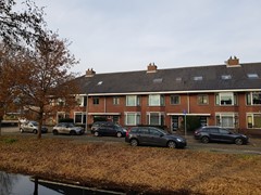 DSC0003.jpg
