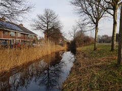 DSC00062.jpg