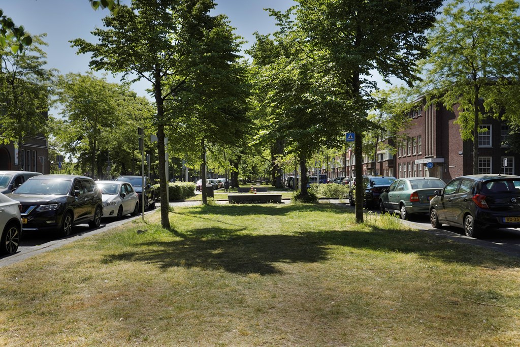 DSC02393-Edit.jpg DSC02393-Edit.jpg