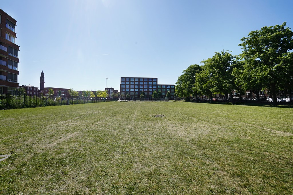 DSC02412-Edit.jpg DSC02412-Edit.jpg